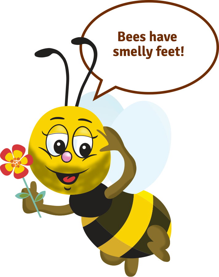Bees have smelly feet